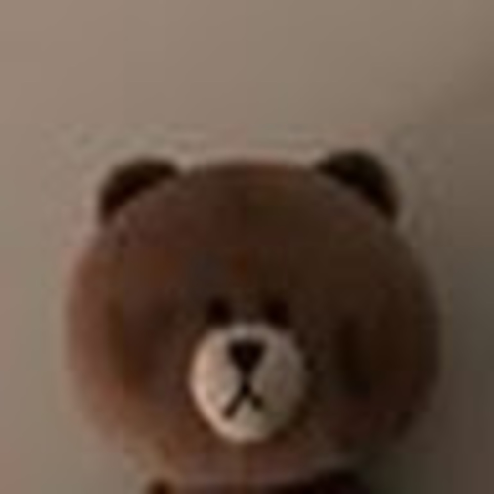 Meet your Posher, Jocelyn